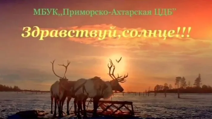 2026-01-26_13-11-23 — копия